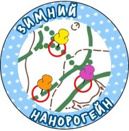 II (I) Традиционные Соревнования «Зимний Нанорогейн 2021». На лыжах!!